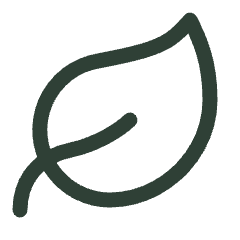 Leaf icon