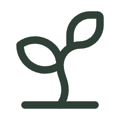 Sprout icon